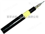 GYXTW-6B1光缆 批发价格