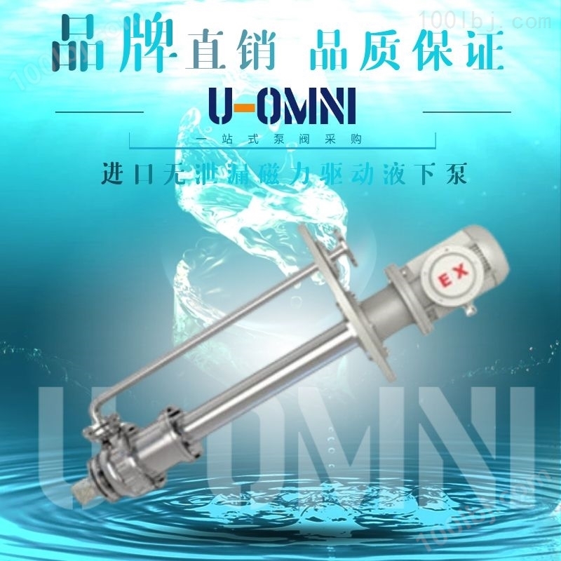 无泄漏磁力驱动液下泵-美国欧姆尼U-OMNI