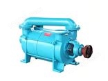 2SK  2SK-P1系列水环真空泵