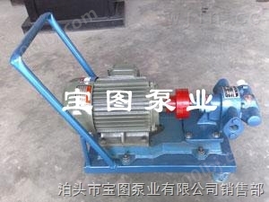 河南漯河齿轮油泵生产直销厂家找宝图泵业