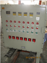 钢板焊接防爆动力配电箱厂家型号BXD51